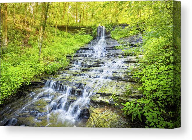 Fall Hollow Canvas Print featuring the photograph Morning Glow by Jordan Hill