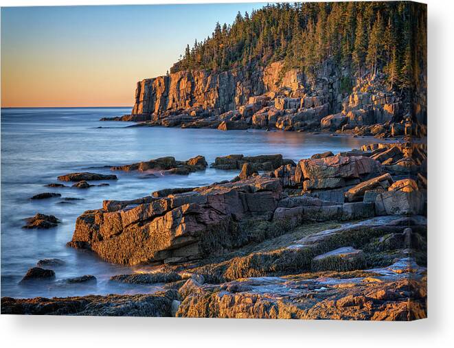 Otter Canvas Print featuring the photograph Morning Light on Otter Cliff by Rick Berk