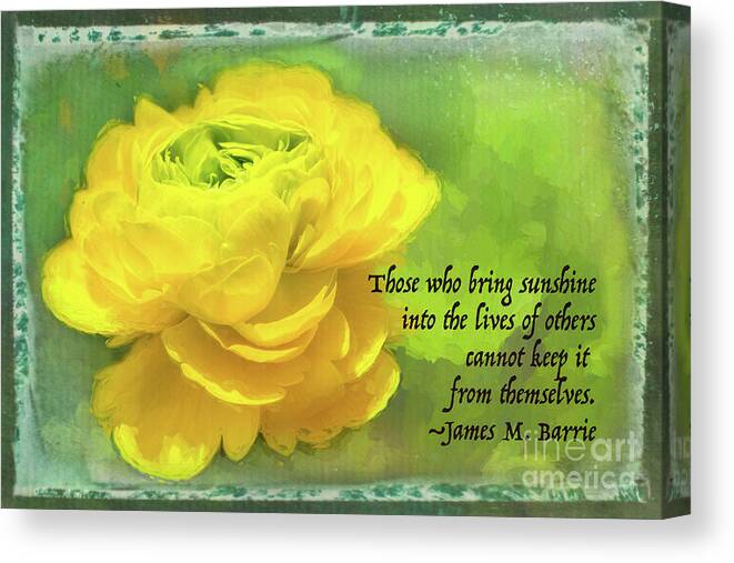 Ranunculus Canvas Print featuring the photograph Bring Sunshine Greeting by Marilyn Cornwell