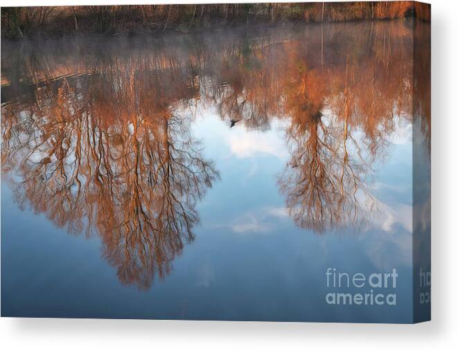 Birkdale Village Pond Canvas Print featuring the photograph Morning Mist by Amy Dundon