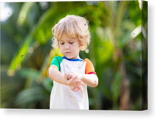 Allergy Medicine Canvas Print featuring the photograph Mosquito on kids skin. Insect bite repellent. by FamVeld