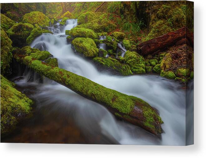 Oregon Canvas Print featuring the photograph Mossy Flow by Darren White
