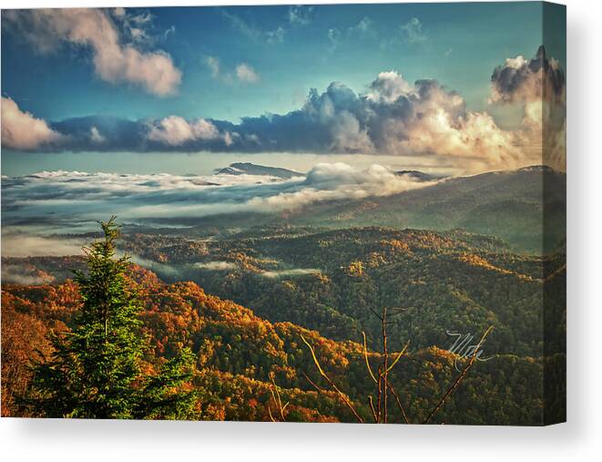 Blue Ridge Parkway Canvas Print featuring the photograph Mount Mitchell In Fall by Meta Gatschenberger