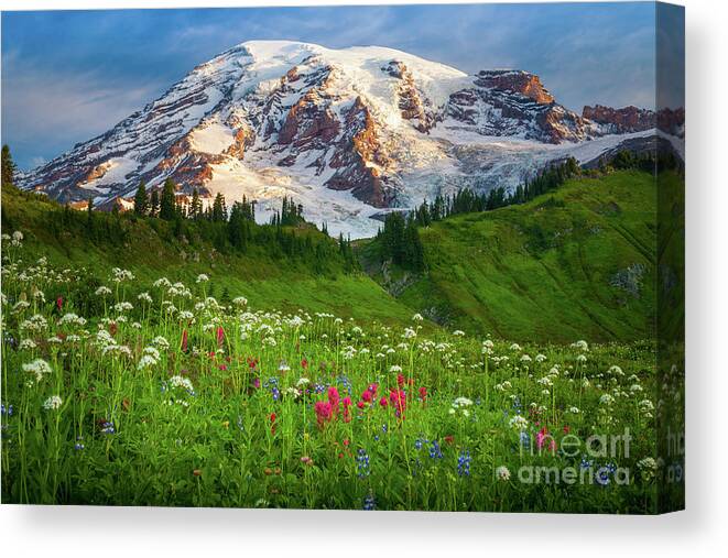 America Canvas Print featuring the photograph Mount Rainier Flower Meadow by Inge Johnsson