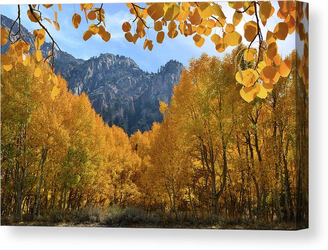 Autumn Canvas Print featuring the photograph Mountain Gates of Glory by Brian Tada