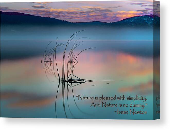 Tule Canvas Print featuring the photograph Mr. Newton's Wisdom by Mike Lee