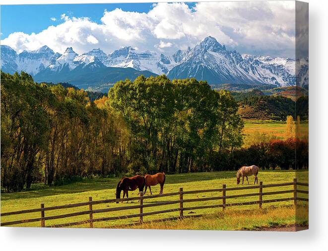 Mount Sneffels Colorado Canvas Print featuring the photograph Mt. Sneffels Colorado with Horses by John Hoffman