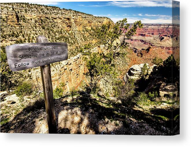 Canyon Canvas Print featuring the photograph Mule train sign on Bright Angel Trail by Craig A Walker