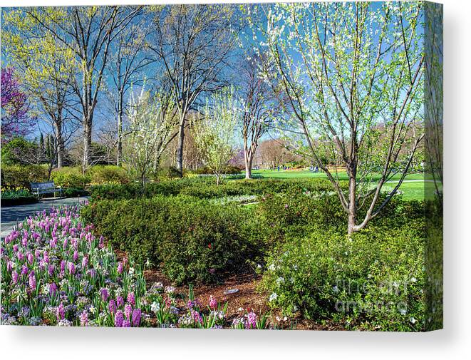 Diana Canvas Print featuring the photograph My Garden In Spring by Diana Mary Sharpton