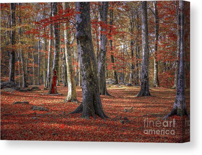 Nature Canvas Print featuring the photograph Nature's Colors by Marco Crupi