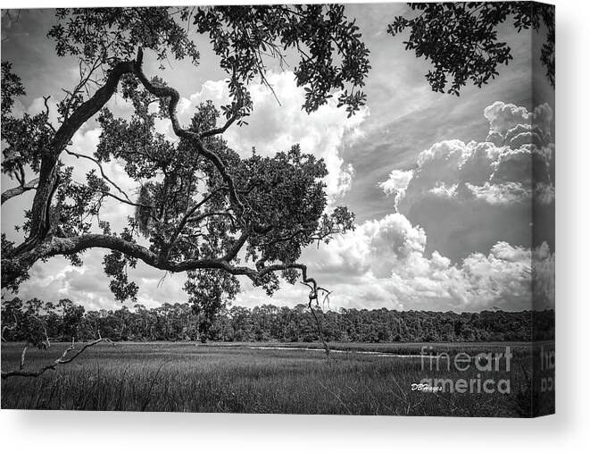 Nature Canvas Print featuring the photograph Natures Serenity In Black and White by DB Hayes