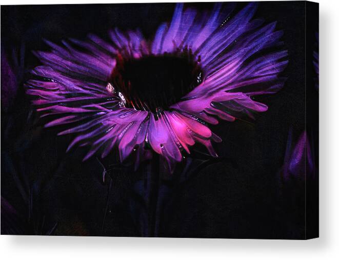 Flower Canvas Print featuring the photograph Neon Flower by Yasmina Baggili