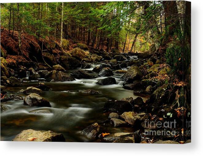 New Hampshire Canvas Print featuring the photograph New Hampshire Brook by Steve Brown