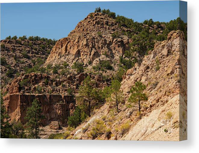White Rock Canvas Print featuring the photograph New Mexico Canyon Landscape One by Bob Phillips