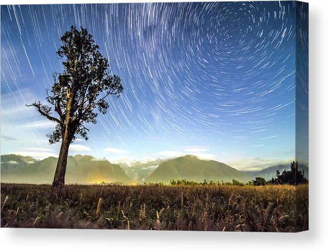 Star Canvas Print featuring the photograph New Zealand Star Trails by Ryan Ketterer