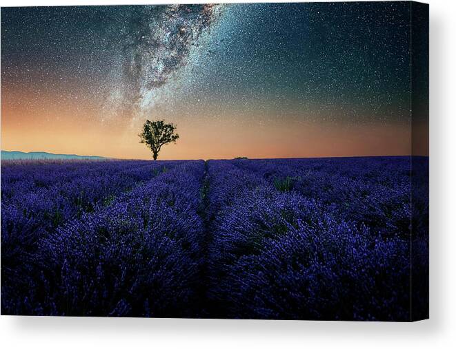 France Canvas Print featuring the photograph Night In Provence by Manjik Pictures