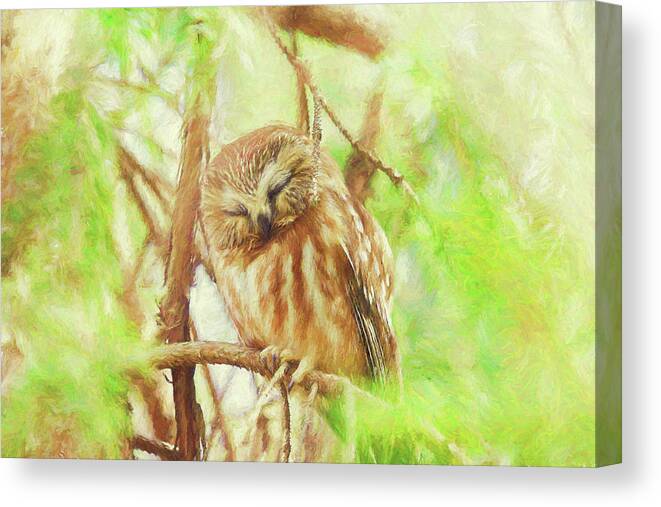 Spring Canvas Print featuring the photograph Night Owl Painterly Version 1 by Carrie Ann Grippo-Pike