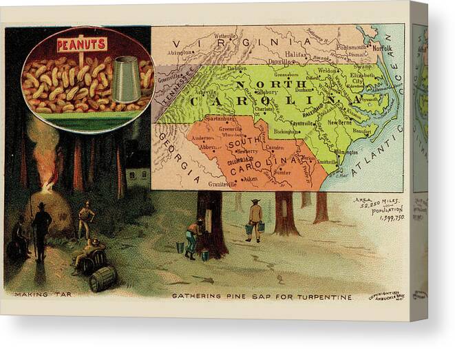 Maps Canvas Print featuring the drawing North Carolina by Arbuckle Brothers