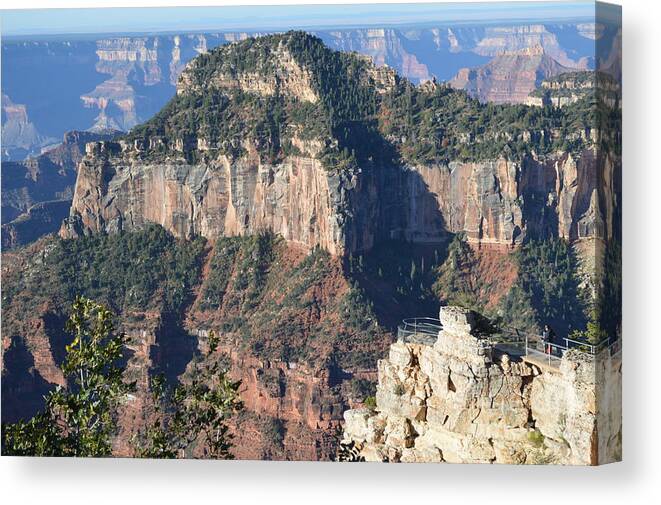 Grand Canyon Canvas Print featuring the photograph North Rim Morning by Barbara Von Pagel