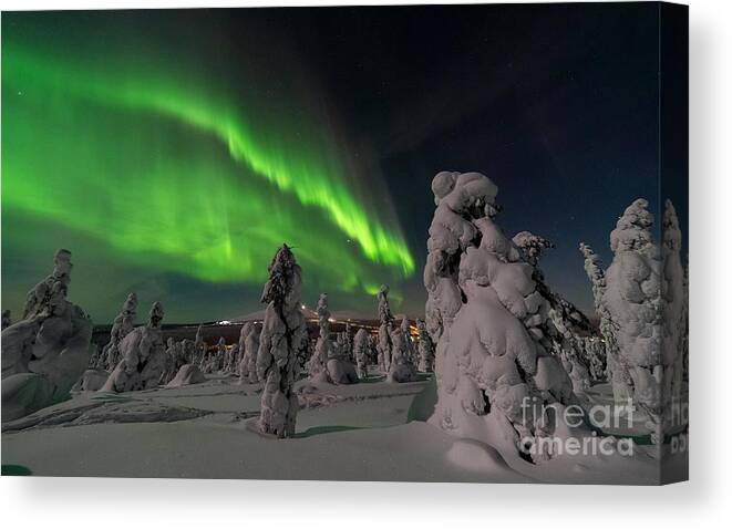 Aurora Canvas Print featuring the painting Northern Lights 8 by Alexandra Arts