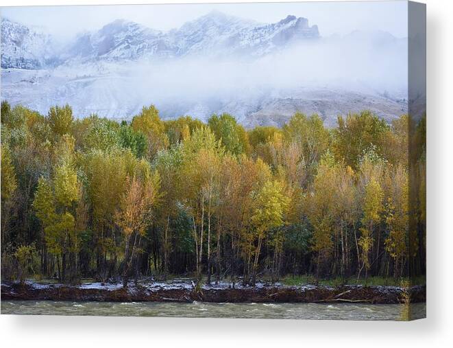 Western Art Canvas Print featuring the photograph Notes of Autumn by Alden White Ballard