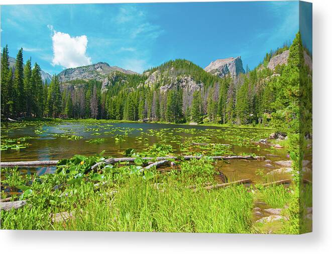 Nymph Lake Canvas Print featuring the photograph Nymph Lake, Rocky Mountain National Park, Colorado, USA, North America by Tom Potter