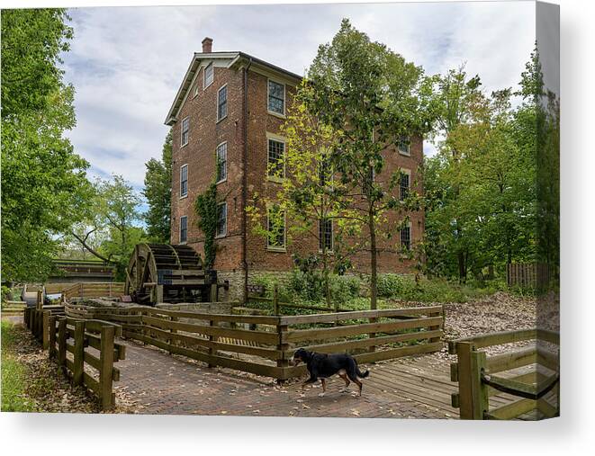 Graue Canvas Print featuring the photograph Old Graue Mill by Jon Exley
