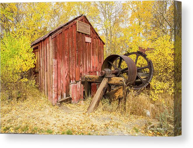 Shed Canvas Print featuring the photograph Old Red Shed by Randy Bradley