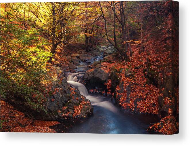 Mountain Canvas Print featuring the photograph Old River by Evgeni Dinev