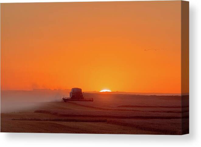Nd Canvas Print featuring the photograph On Fields of Gold - Combine at sunset in a ND wheat field by Peter Herman