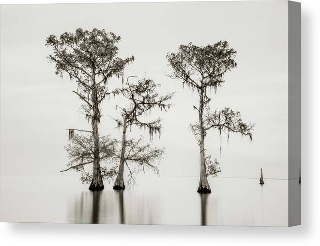Louisiana Canvas Print featuring the photograph On the Edge of Infinity by Andy Crawford