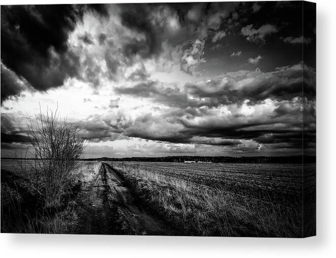 Road Canvas Print featuring the photograph On The Road Again LRBW by Michael Damiani