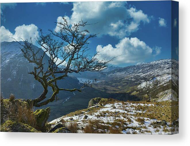 Wales Canvas Print featuring the digital art On the rock by Remigiusz MARCZAK