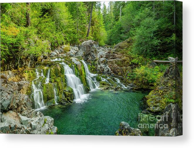 Opal Creek Falls Canvas Print featuring the photograph Opal Creek Falls by Kristine Anderson