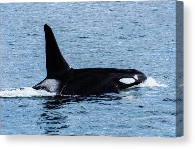 Canvas Print featuring the photograph Orca 7A by Sally Fuller