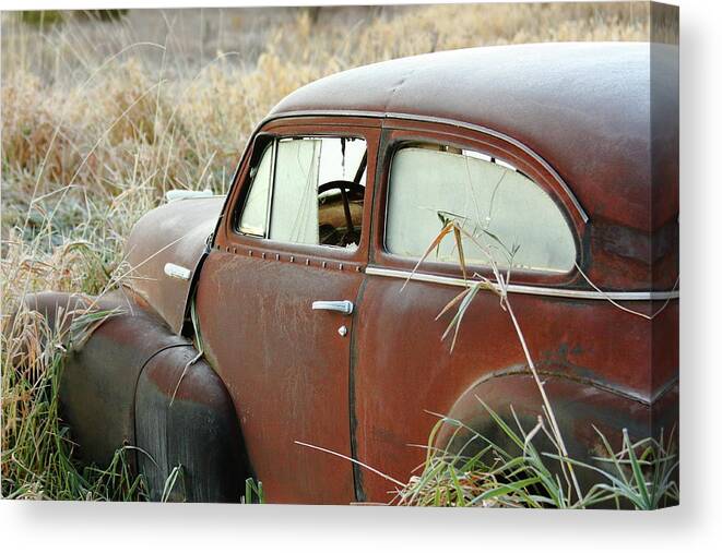 Chevrolet Canvas Print featuring the photograph Out To Pasture by Lens Art Photography By Larry Trager