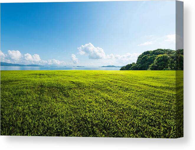 Grass Canvas Print featuring the photograph Outdoor grassland by Louis Koo