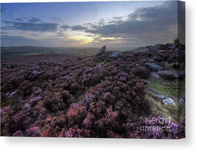 Flower Canvas Print featuring the photograph Owler Tor 40.0 by Yhun Suarez