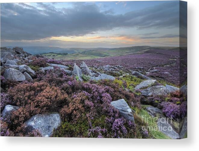 Flower Canvas Print featuring the photograph Owler Tor 42.0 by Yhun Suarez