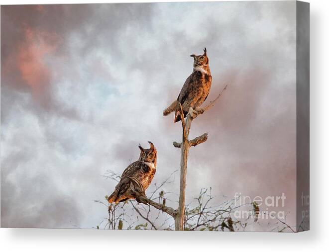 Great Horned Owl Canvas Print featuring the digital art Owls at Dusk - Stormy Sky by Jayne Carney
