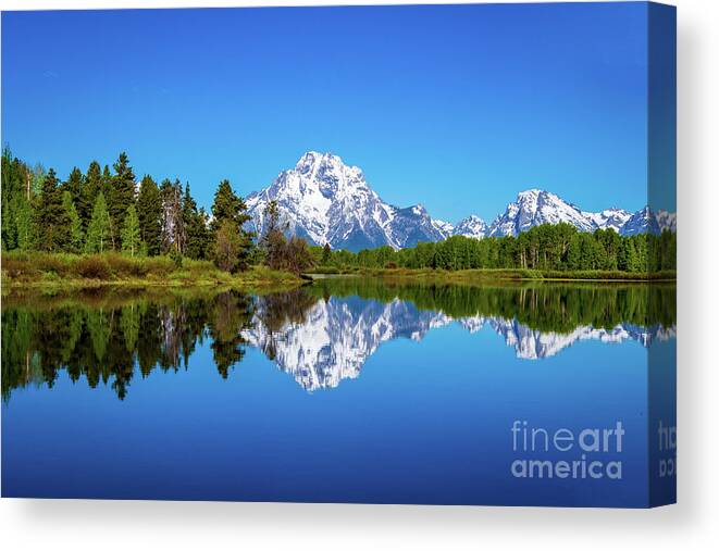 Bend Canvas Print featuring the photograph Oxbow Bend in the morning light, Grand Teton by Sturgeon Photography