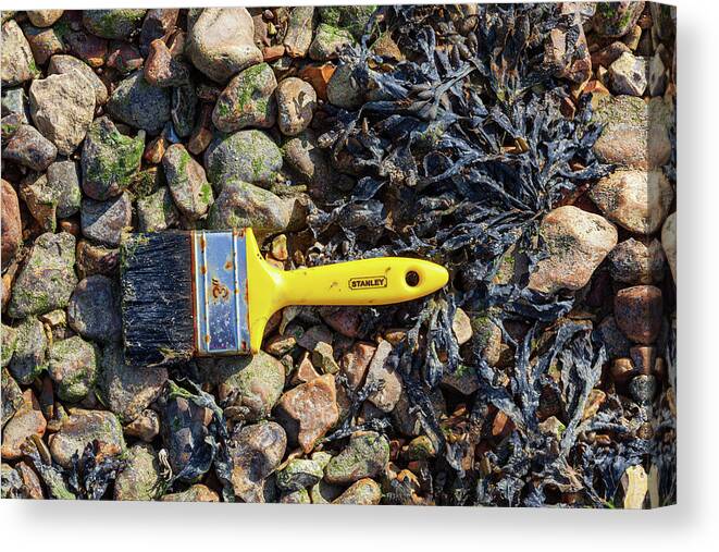 United Kingdom Canvas Print featuring the photograph Paint Brush and Pebbles by Richard Donovan