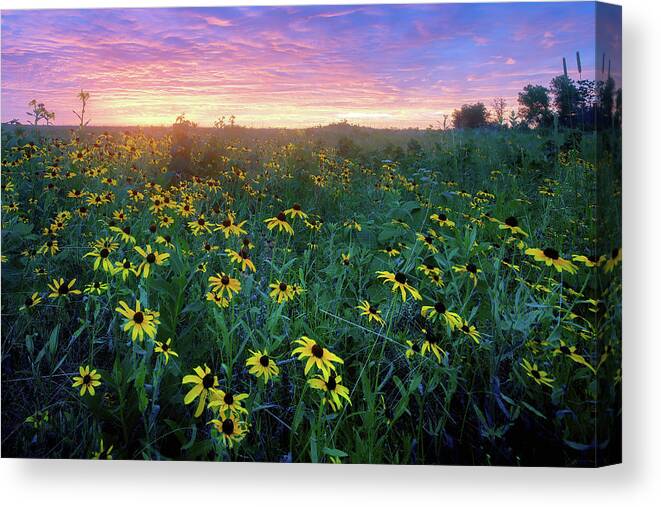 Conservation Area Canvas Print featuring the photograph Paintbrush Prairie IV by Robert Charity