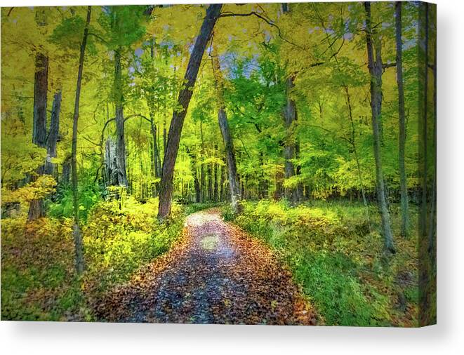 Painterly Photography Canvas Print featuring the photograph Painted Forest by Jim Signorelli