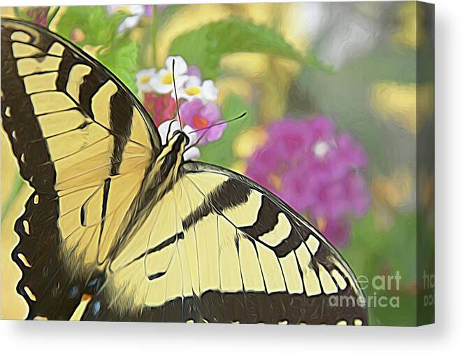 Butterfly Canvas Print featuring the digital art Painted Swallowtail by Amy Dundon
