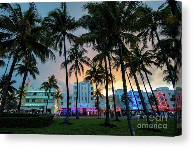 Palm Canvas Print featuring the photograph Palm Trees on Ocean Drive South Beach Miami at Night by Beachtown Views