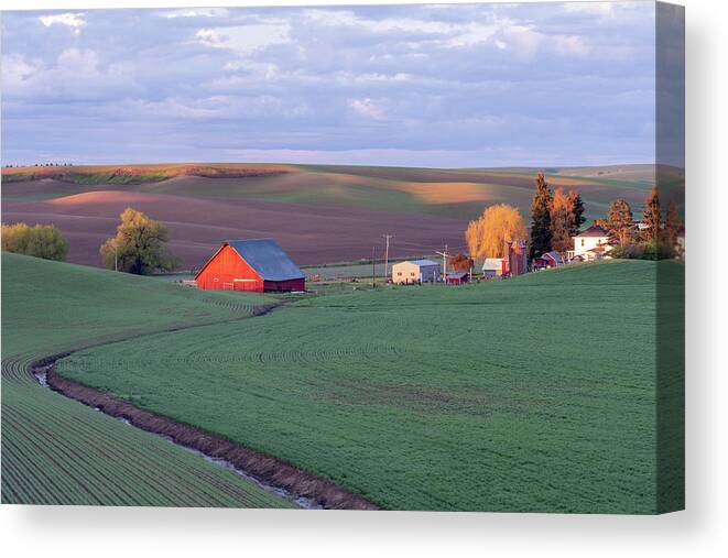 Landscape Canvas Print featuring the photograph Palouse Barn #1 by Greg Waddell