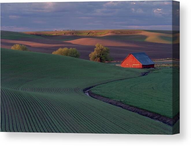 Palouse Canvas Print featuring the photograph Palouse Barn #2 by Greg Waddell
