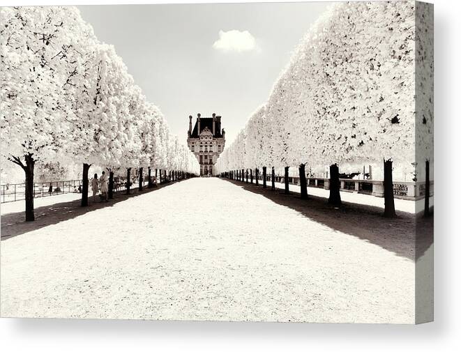 Paris Canvas Print featuring the photograph Paris Winter White Collection - Louvre by Philippe HUGONNARD
