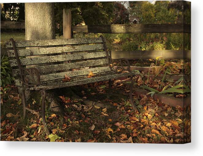 Nobody Canvas Print featuring the photograph Park Bench and Autumn Leaves by Valerie Collins